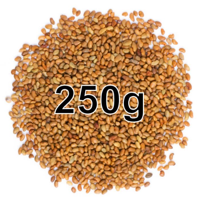 ALFALFA SEEDS250G