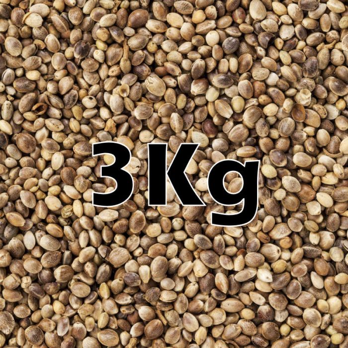 HEMP SEED ORG  3KG