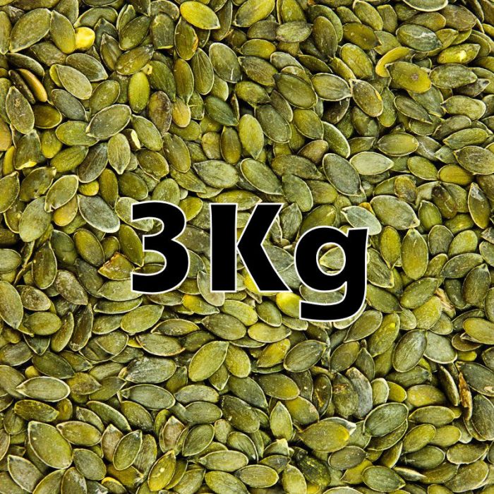 PUMPKIN SEEDS ORG. 3KG